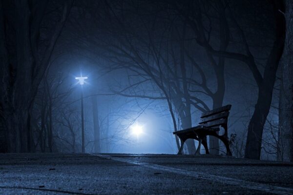 park bench night evening fog mist 3116883